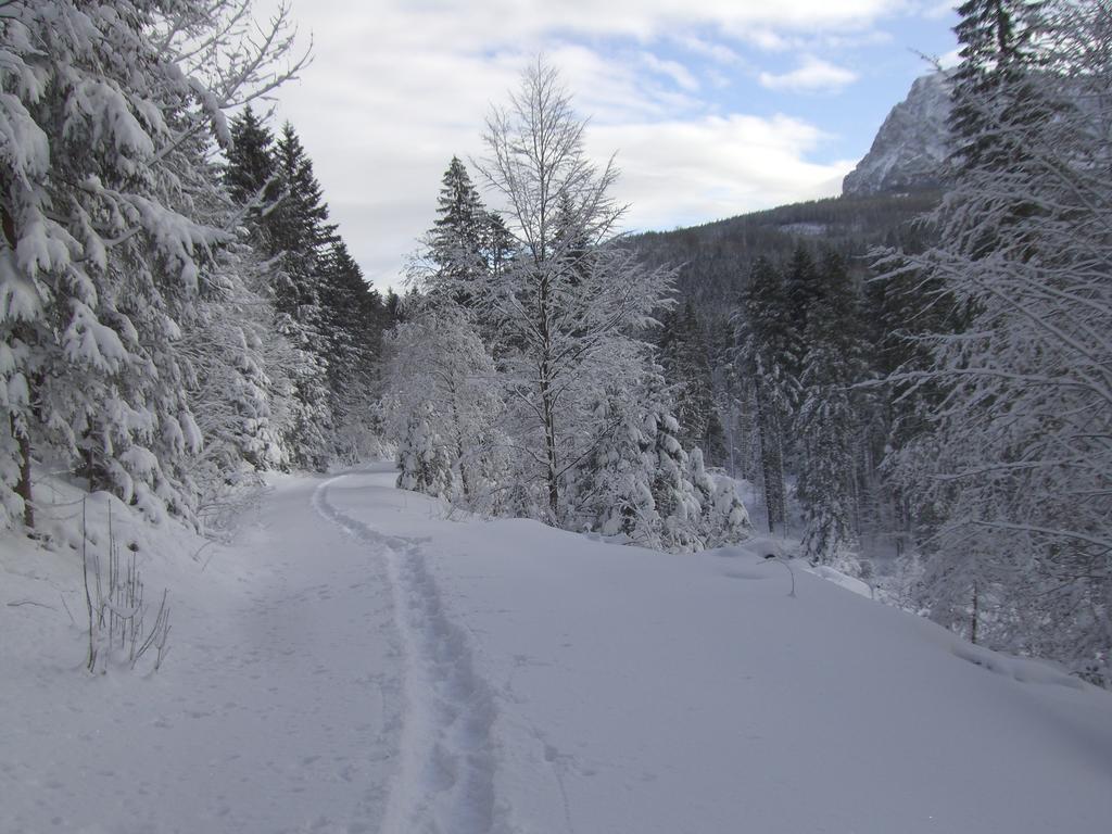 Ferienwohnung Am Roemerweg Wald Inzell Esterno foto