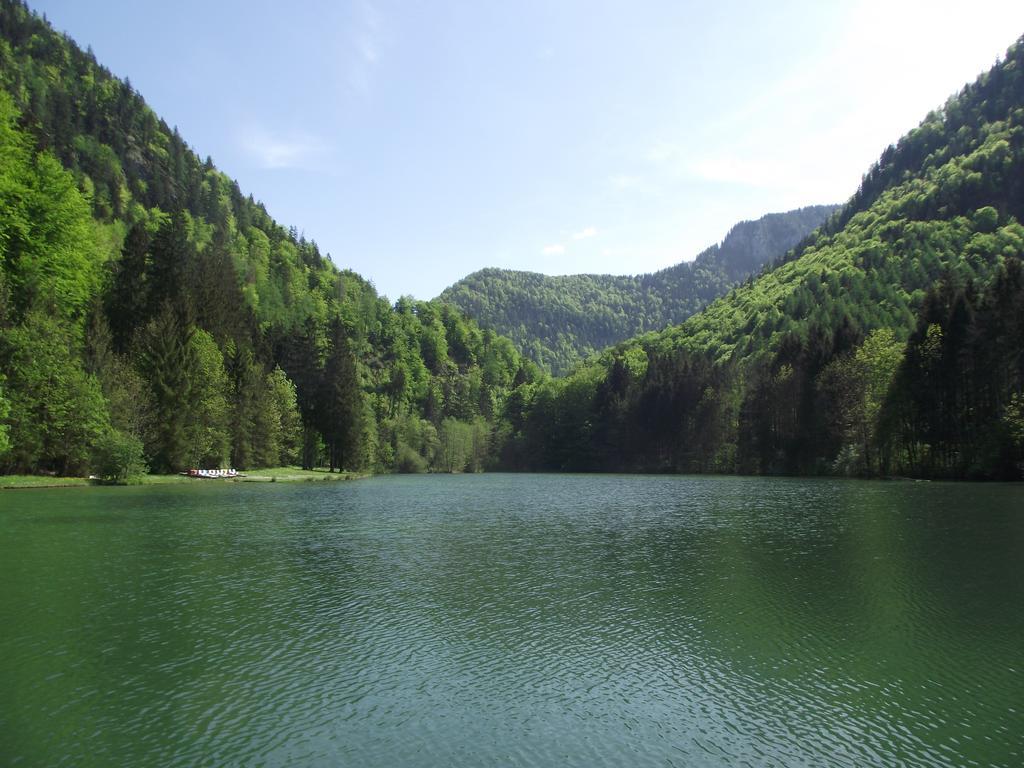 Ferienwohnung Am Roemerweg Wald Inzell Esterno foto