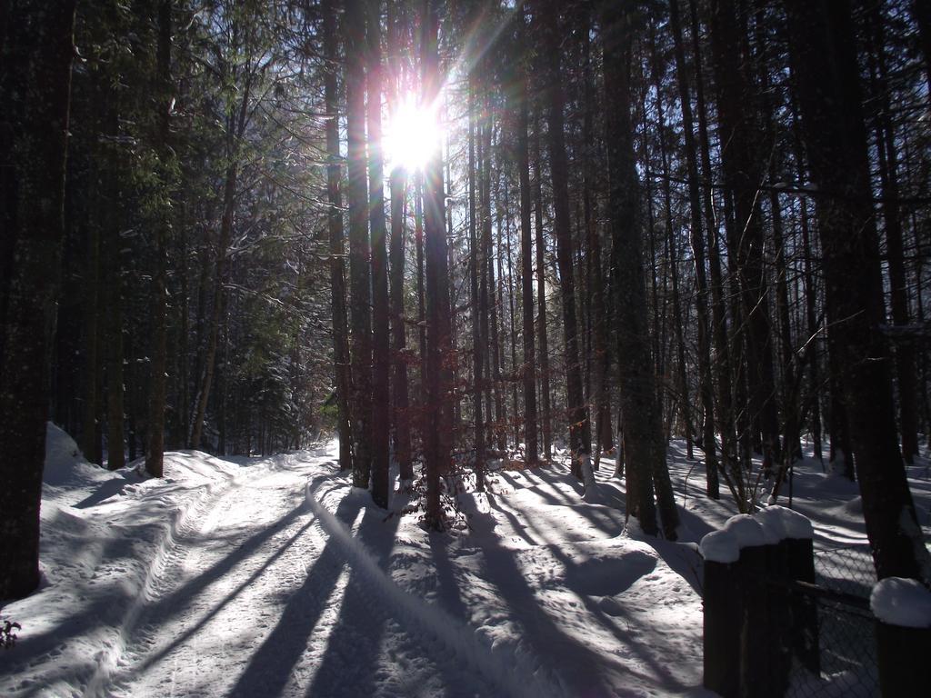 Ferienwohnung Am Roemerweg Wald Inzell Esterno foto