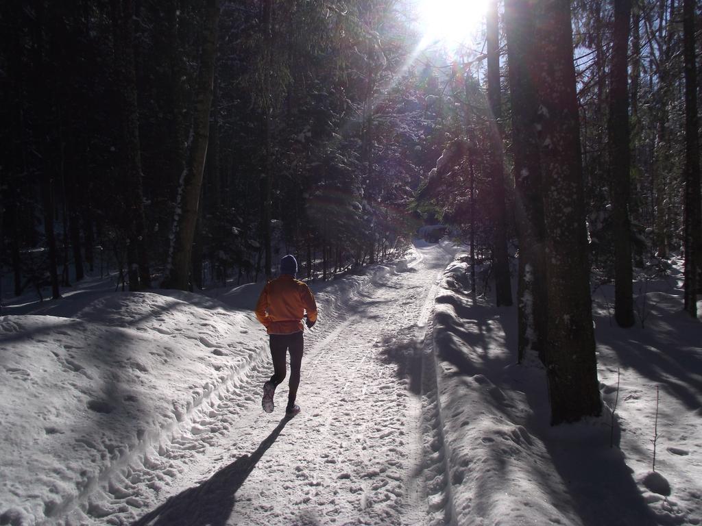 Ferienwohnung Am Roemerweg Wald Inzell Esterno foto