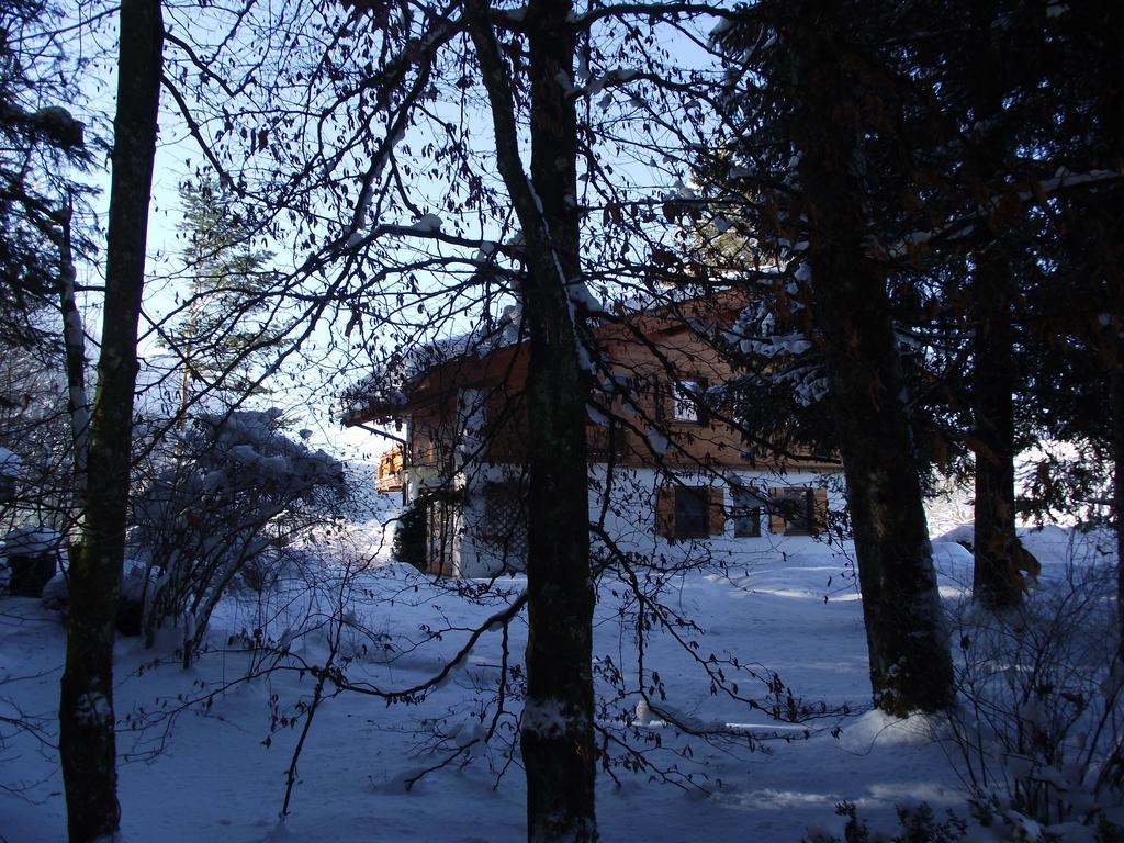 Ferienwohnung Am Roemerweg Wald Inzell Esterno foto